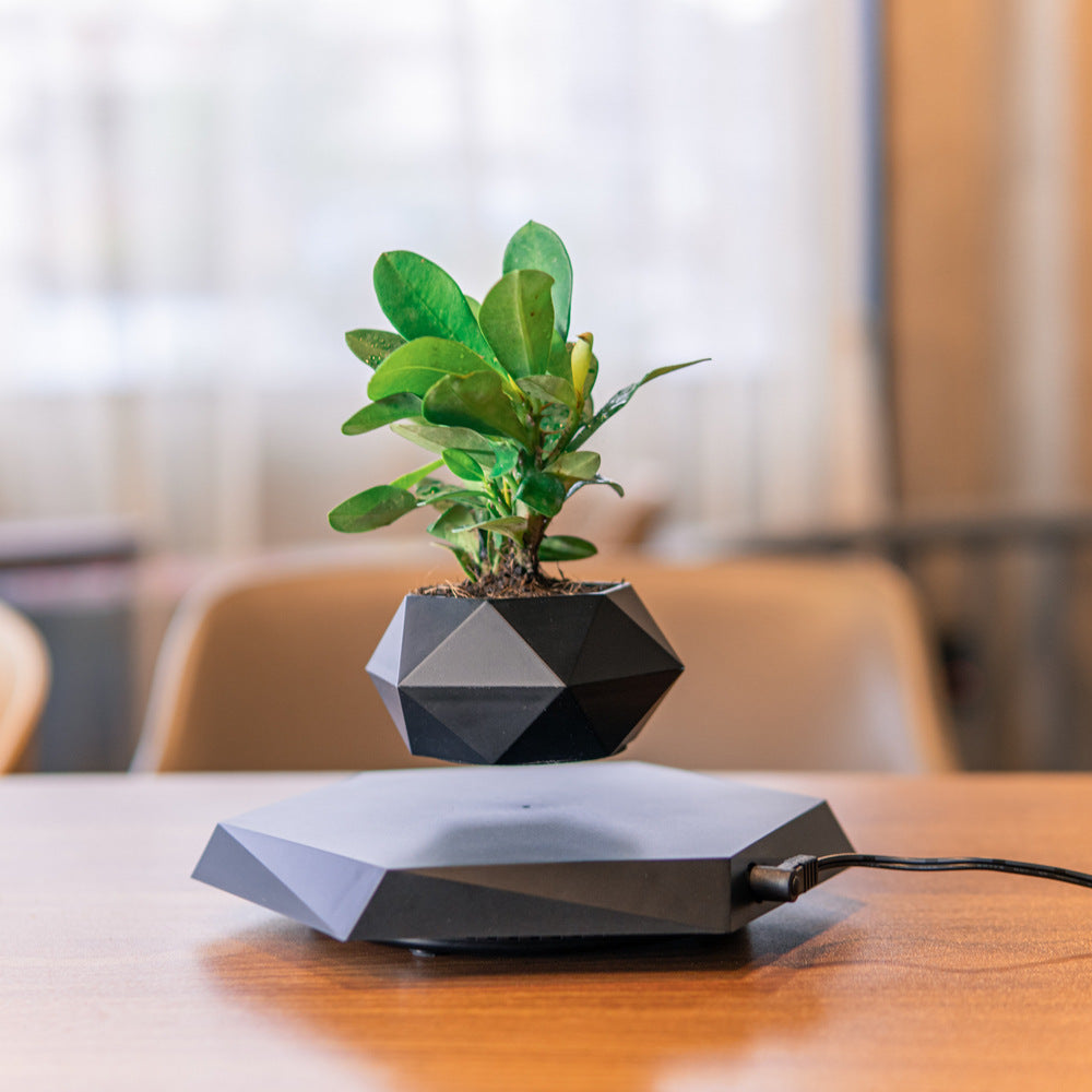 Magnetic Levitating Floating Planter Pot