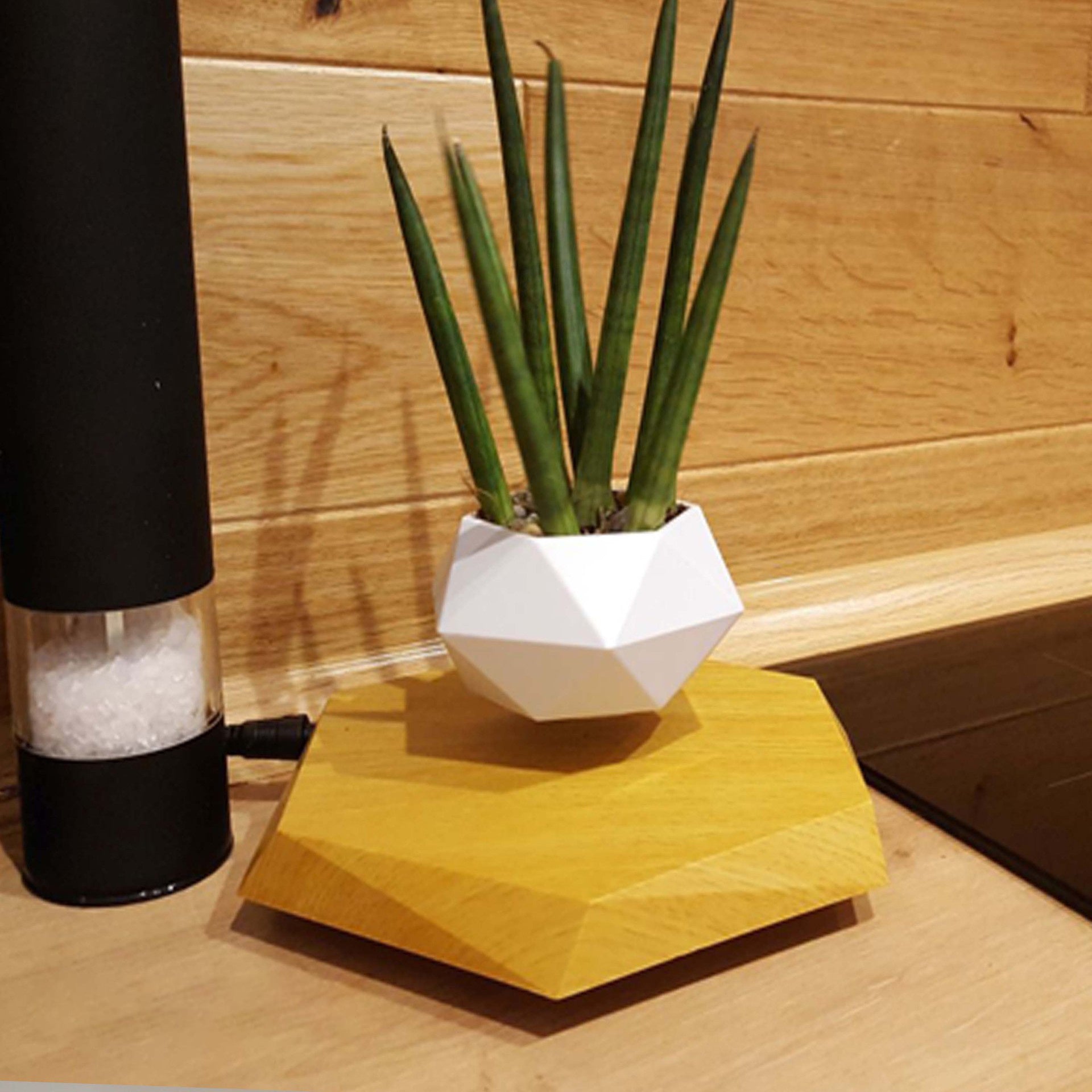 Magnetic Levitating Floating Planter Pot