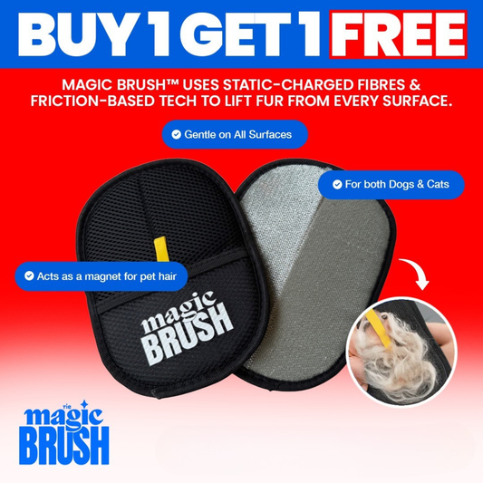 The Magic Brush™ - Buy 1 Get 1 Free