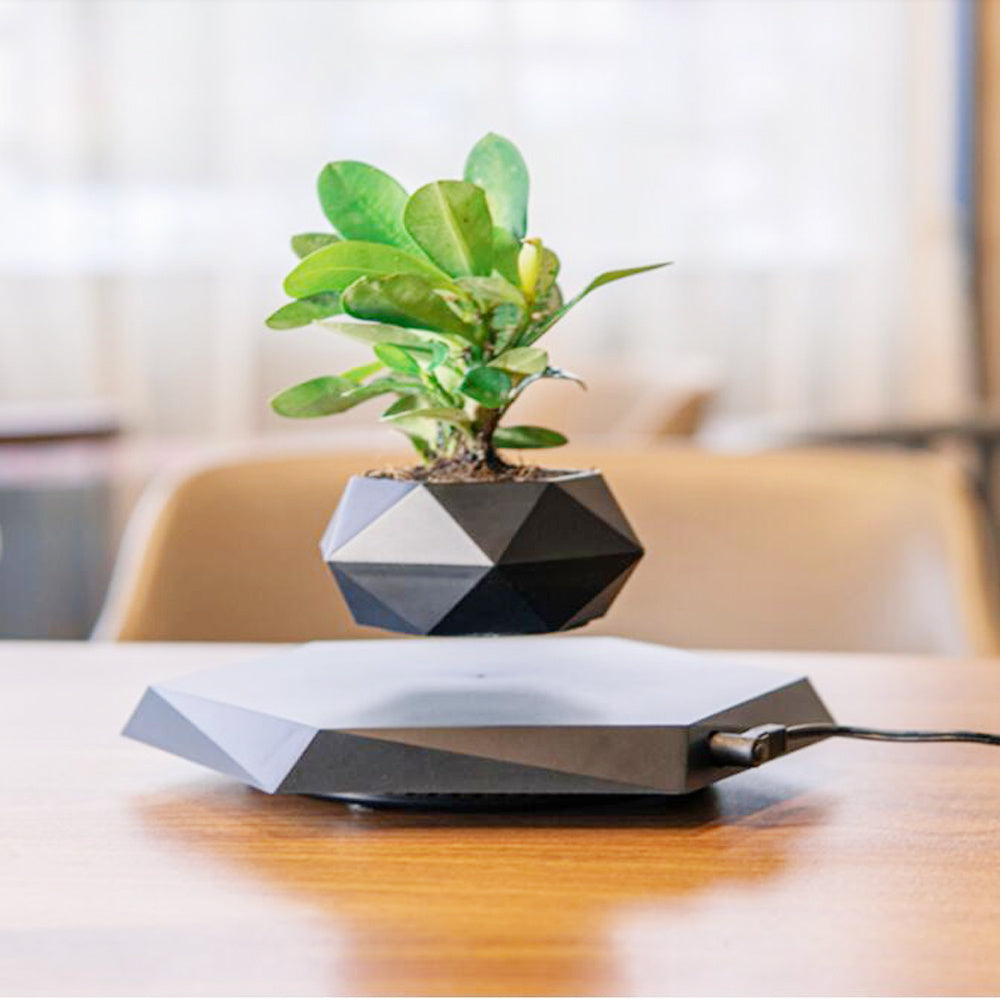 Magnetic Levitating Floating Planter Pot